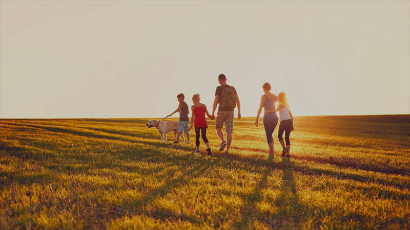 Family walking through a field
